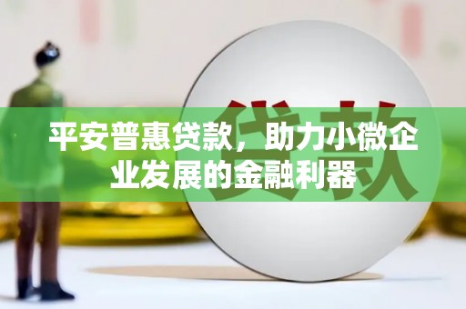 万源平安普惠贷款，助力小微企业发展的金融利器