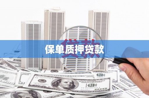 万源保单质押贷款