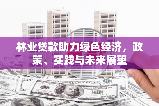 万源林业贷款助力绿色经济，政策、实践与未来展望