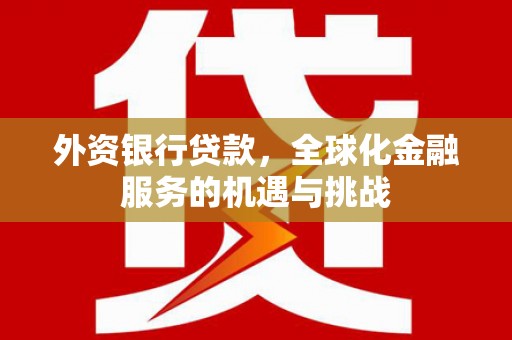 万源外资银行贷款，全球化金融服务的机遇与挑战