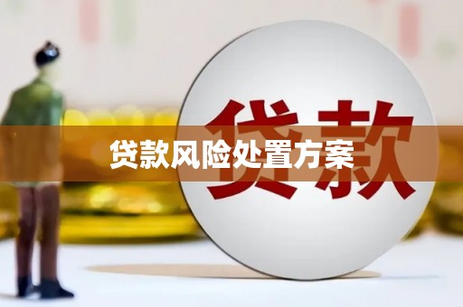 万源贷款风险处置方案