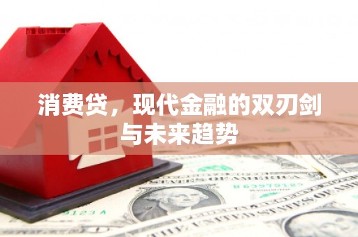 万源消费贷，现代金融的双刃剑与未来趋势