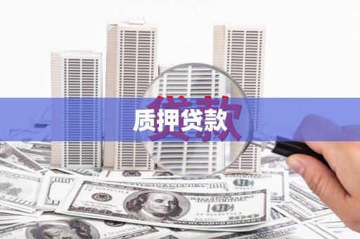 万源质押贷款