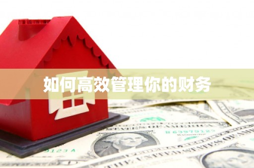 万源如何高效管理你的财务