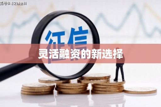 万源灵活融资的新选择