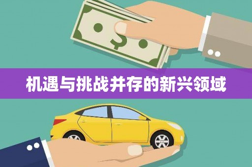 万源机遇与挑战并存的新兴领域