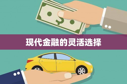 万源现代金融的灵活选择