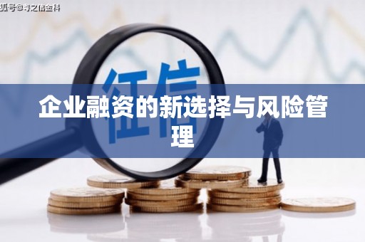 万源企业融资的新选择与风险管理
