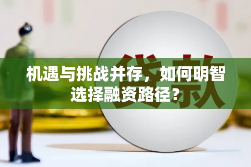 万源机遇与挑战并存，如何明智选择融资路径？