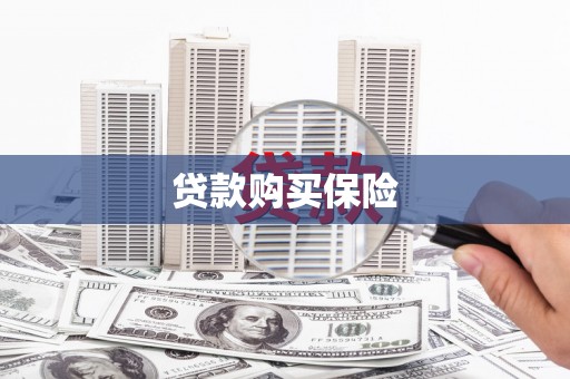 万源贷款购买保险