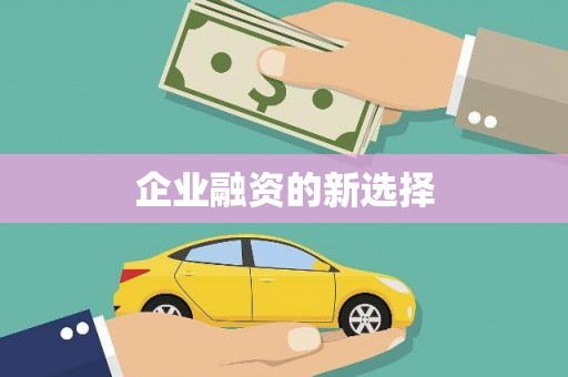 万源企业融资的新选择