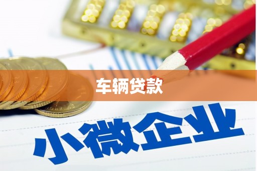 万源车辆贷款