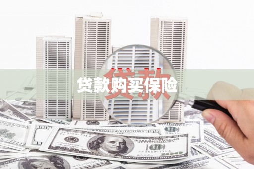 万源贷款购买保险