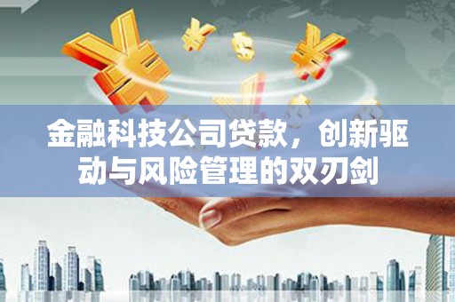 万源金融科技公司贷款，创新驱动与风险管理的双刃剑